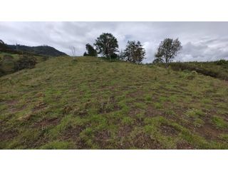 Foto 5 de Venta de Lote Independiente en La Ceja, Sector el Capiro