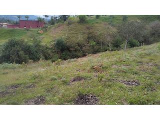 Foto 6 de Venta de Lote Independiente en La Ceja, Sector el Capiro