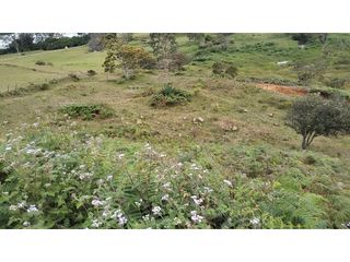 Foto 10 de Venta de Lote Independiente en La Ceja, Sector el Capiro