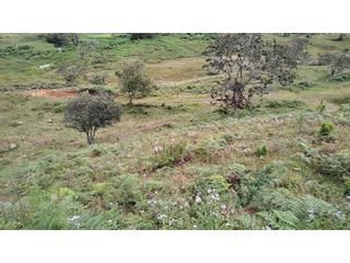 Foto 8 de Venta de Lote Independiente en La Ceja, Sector el Capiro