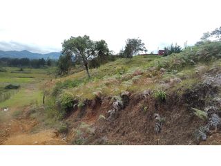 Foto 13 de Venta de Lote Independiente en La Ceja, Sector el Capiro