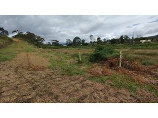 Foto 5 de Venta de Lote Independiente en La Ceja, Sector el Capiro