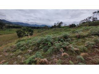 Foto 7 de Venta de Lote Independiente en La Ceja, Sector el Capiro