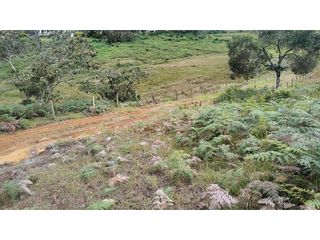 Foto 11 de Venta de Lote Independiente en La Ceja, Sector el Capiro