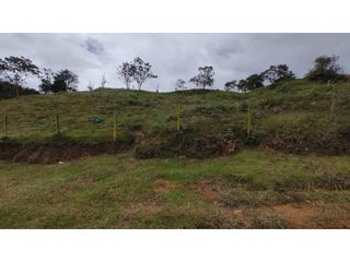 Foto 14 de Venta de Lote Independiente en La Ceja, Sector el Capiro