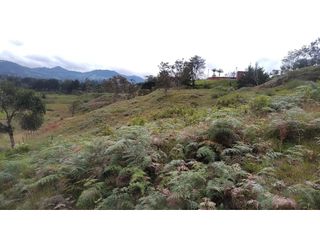 Foto 12 de Venta de Lote Independiente en La Ceja, Sector el Capiro