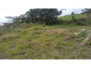 Foto 5 de Venta de Lote Independiente en La Ceja, Sector el Capiro