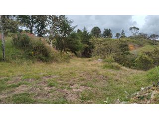 Foto 7 de Venta de Lote Independiente en La Ceja, Sector el Capiro