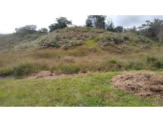 Foto 10 de Venta de Lote Independiente en La Ceja, Sector el Capiro