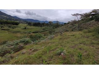 Foto 11 de Venta de Lote Independiente en La Ceja, Sector el Capiro