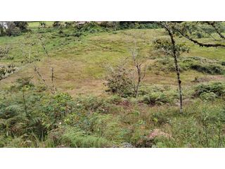 Foto 9 de Venta de Lote Independiente en La Ceja, Sector el Capiro