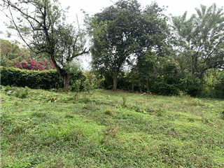 Foto 38 de Venta Lote Proyecto e Inversión en Venecia Excelente Ubicación