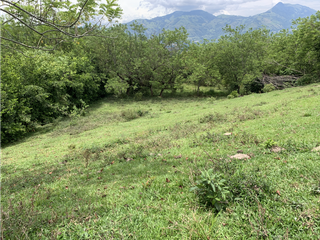 Foto 1 de Venta Lote Proyecto e Inversión en Venecia Excelente Ubicación
