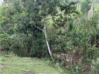 Foto 26 de Venta Lote Proyecto e Inversión en Venecia Excelente Ubicación