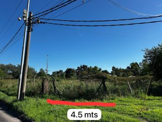 Foto 3 de LOTE UNIFICADO EN VENTA SOBRE PANAMERICANA, RUTA 9, KM 34, EL TALAR TIGRE.-