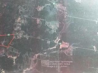 Foto 6 de Campo de 811 hectareas en La Gallareta