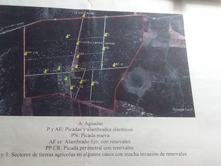 Foto 5 de Campo de 811 hectareas en La Gallareta
