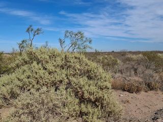 Foto 7 de En Venta, Terreno de 9148 m2 sobre Ruta Provincial N° 67, Neuquén
