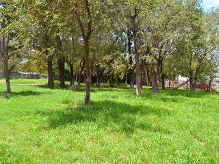 Foto 12 de Venta Casa 3 Dorm. Desarrollada en 2 plantas. Cochera. Importante Patio verde arbolado .  Funes