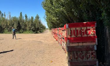 place photo 14