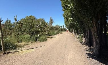 place photo 22