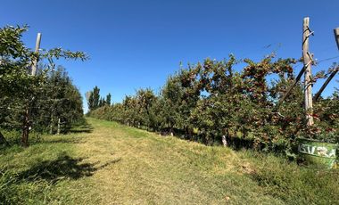 place photo 19