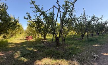 place photo 23