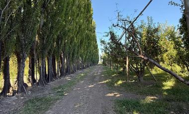 place photo 31