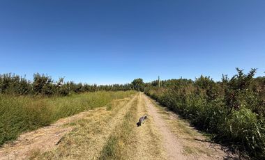 place photo 28