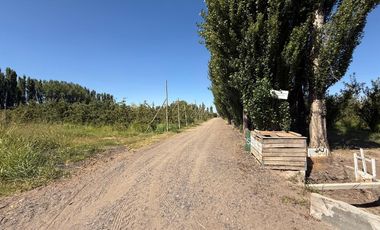 place photo 27