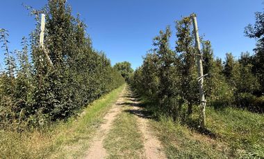 place photo 30