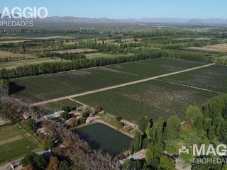 Foto 7 de Finca en Venta