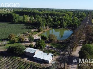 Foto 4 de Finca en Venta