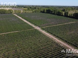 Foto 1 de Finca en Venta