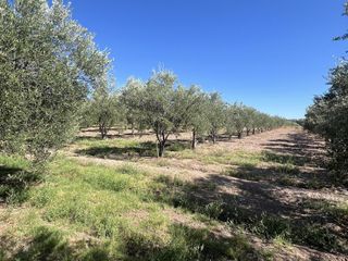 Foto 12 de Finca en Cuadro Benegas