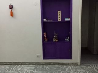 Foto 3 de Casa PH en venta en Bernal Oeste