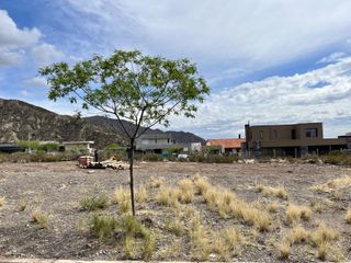 Foto 3 de Terreno en Mendoza Norte. LOS BALCONES