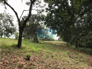 Foto 10 de Lote parcelado con casa principal - Popayan- parcelación La Margarita