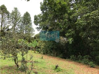 Foto 15 de Lote parcelado con casa principal - Popayan- parcelación La Margarita
