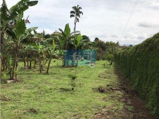 Foto 17 de Lote parcelado con casa principal - Popayan- parcelación La Margarita