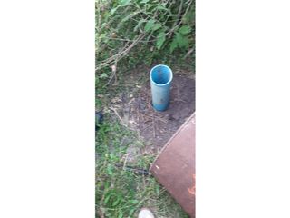 Foto 8 de Se Alquila campo de 510 has en Zona Raíces Oeste