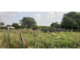 Foto 1 de Se Alquila campo de 510 has en Zona Raíces Oeste