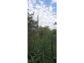 Foto 4 de Se Alquila campo de 510 has en Zona Raíces Oeste