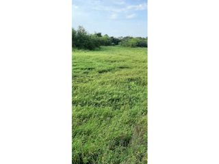 Foto 7 de Se Alquila campo de 510 has en Zona Raíces Oeste
