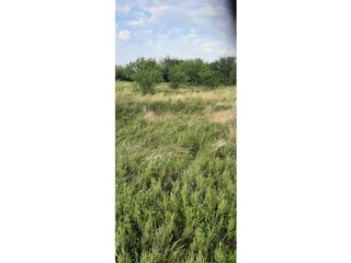 Foto 10 de Se Alquila campo de 510 has en Zona Raíces Oeste