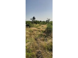 Foto 6 de Se Alquila campo de 510 has en Zona Raíces Oeste