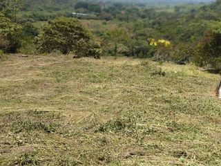 Foto 2 de ¡Invierte En El Paraíso Natural De Pance! Lote De 9.000 M² A $1.150 Millones