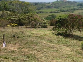 Foto 4 de ¡Invierte En El Paraíso Natural De Pance! Lote De 9.000 M² A $1.150 Millones