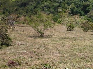 Foto 3 de ¡Invierte En El Paraíso Natural De Pance! Lote De 9.000 M² A $1.150 Millones