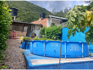 Foto 10 de Casalote urbano de 238 M2 en 260 mill en Apulo Cund, COL